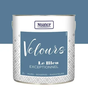 436259 - Peinture Velours - Bleu except