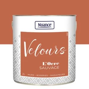 436262 - Peinture Velours - Ocre sauvag