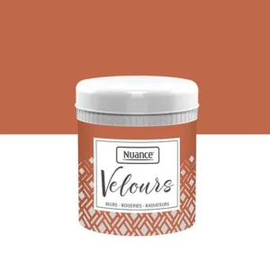436279 - Testeur peinture Velours - Ocr