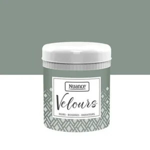 453917 - Testeur peinture Velours - Ver