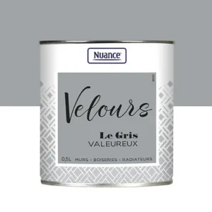 453918 - Peinture Velours - Gris valeur