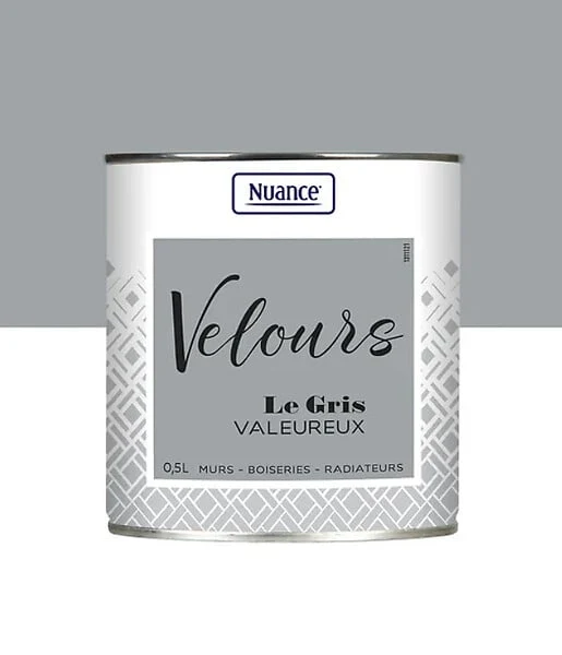 453918 - Peinture Velours - Gris valeur