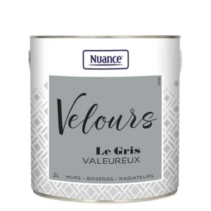453922 - Peinture Velours - Gris valeur