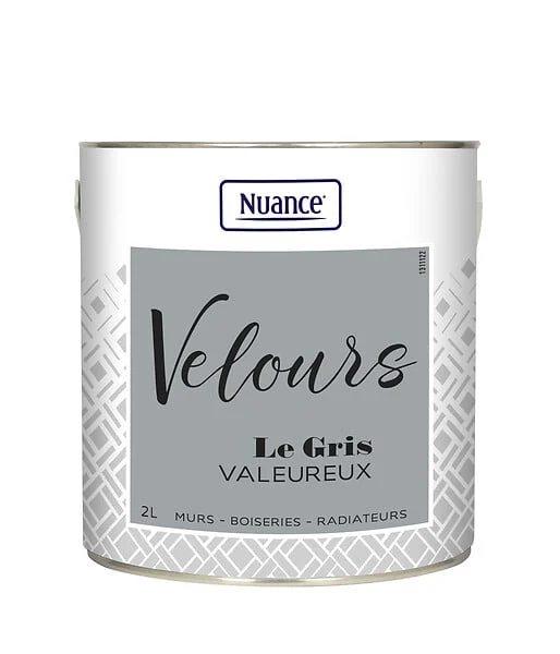 453922 - Peinture Velours - Gris valeur