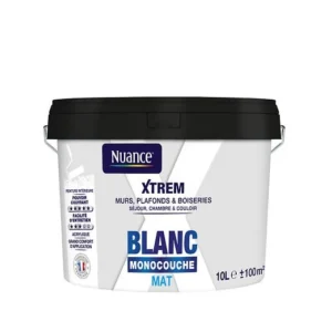 466843 - Peinture XTREM - Monocouche -