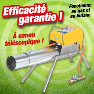 canon a gaz ribizon