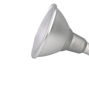 Ampoule LED E27 PAR38 15W IP65 blanc naturel