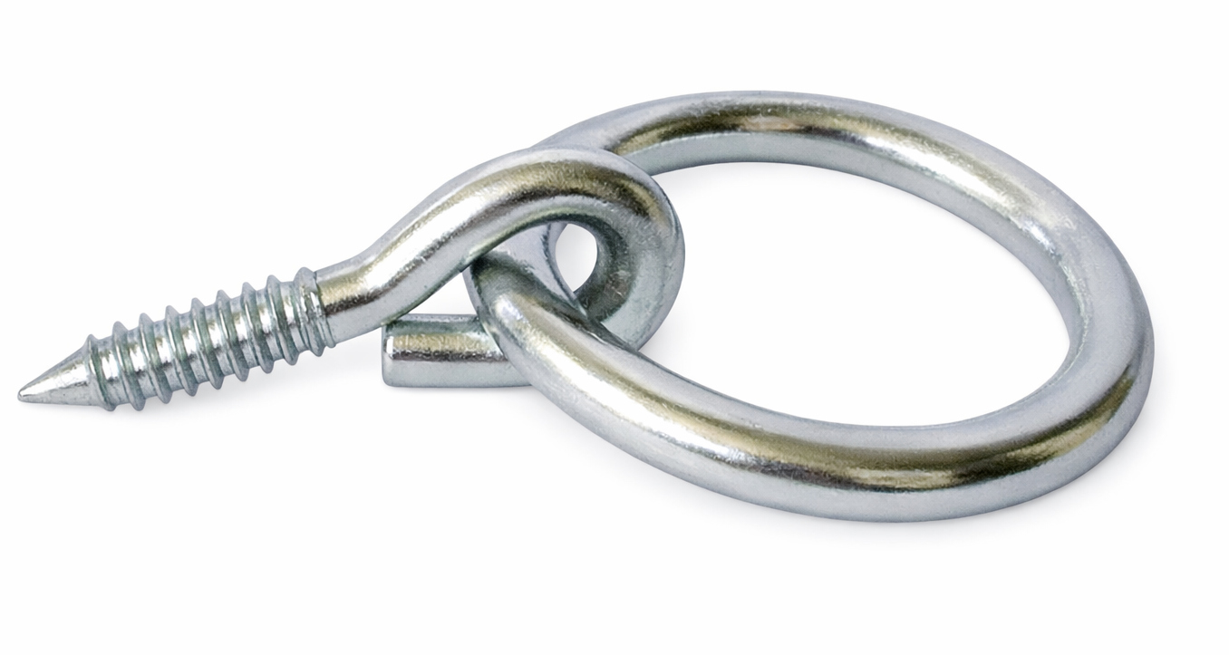 Anneau à vis zingué diamètre 10 mm JARDINIER MASSARD J501061