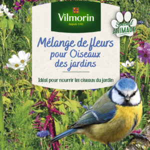 Attire les Oiseaux - Mélange de fleurs