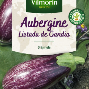 Aubergine Listada de Gandia - Cuisine du Monde