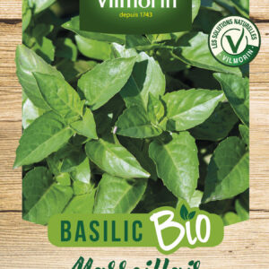 Basilic Marseillais - BIO