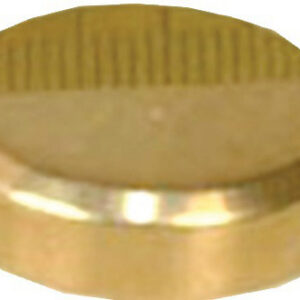 Cache vis plat diamètre 18 mm laiton poli boîte de 10 GUITEL 9020D18S10