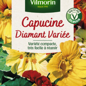 Capucine diamant variée