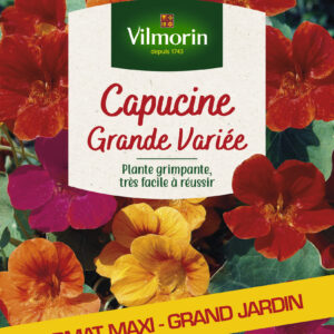 Capucine Grande Variée - Grand Modèle