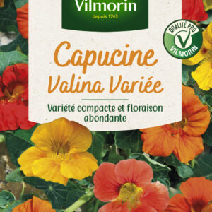 Capucine Valina Variée