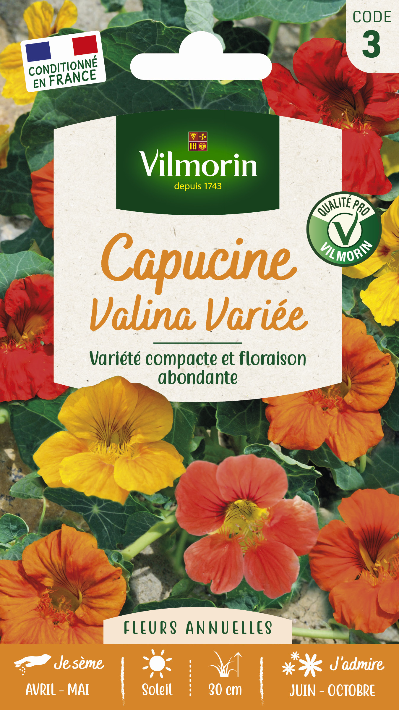 Capucine Valina Variée