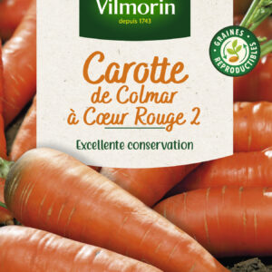 Carotte de Colmar