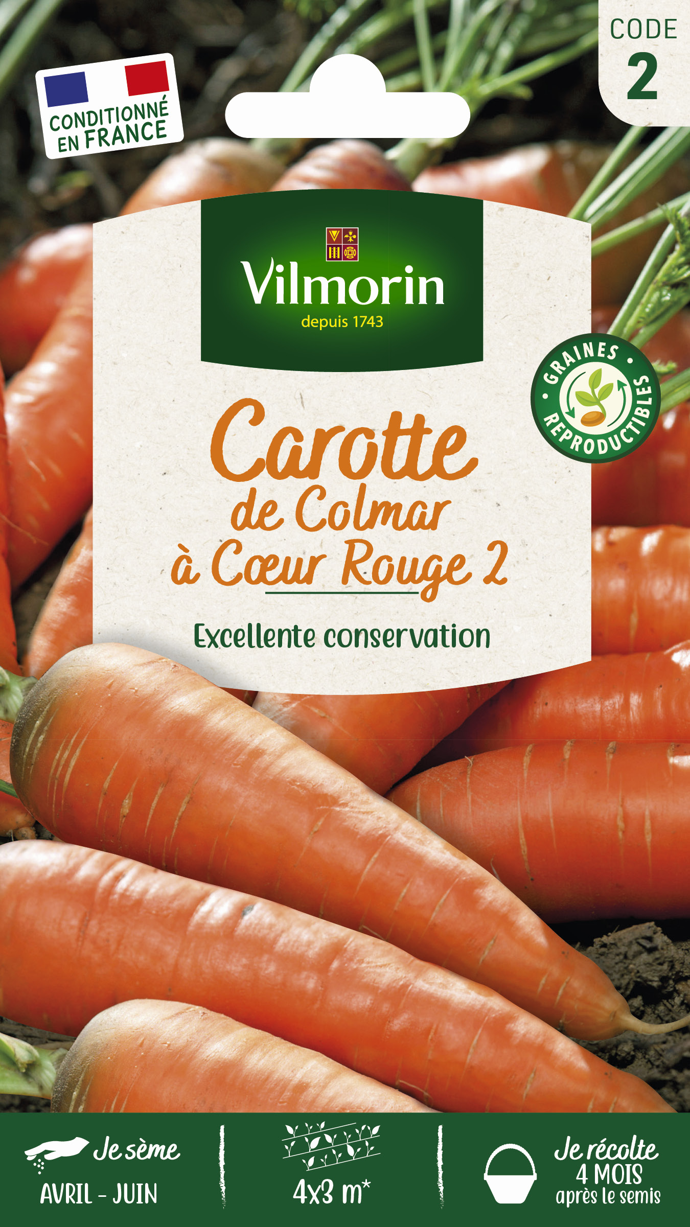 Carotte de Colmar
