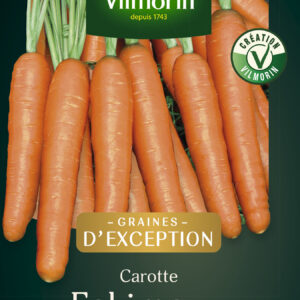 Carotte Eskimo F1 - Graines d'Exception