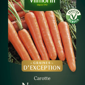Carotte Nanco F1 - Graines d'Exception