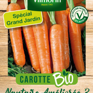 Carotte Nantaise Améliorée 3 - BIO - Grand Modèle