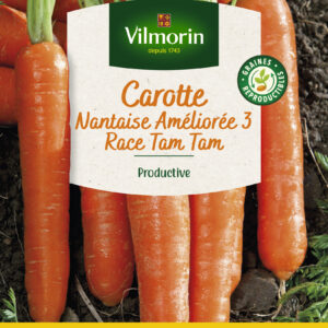 Carotte Nantaise Améliorée 3 race Tam Tam - Grand Modèle