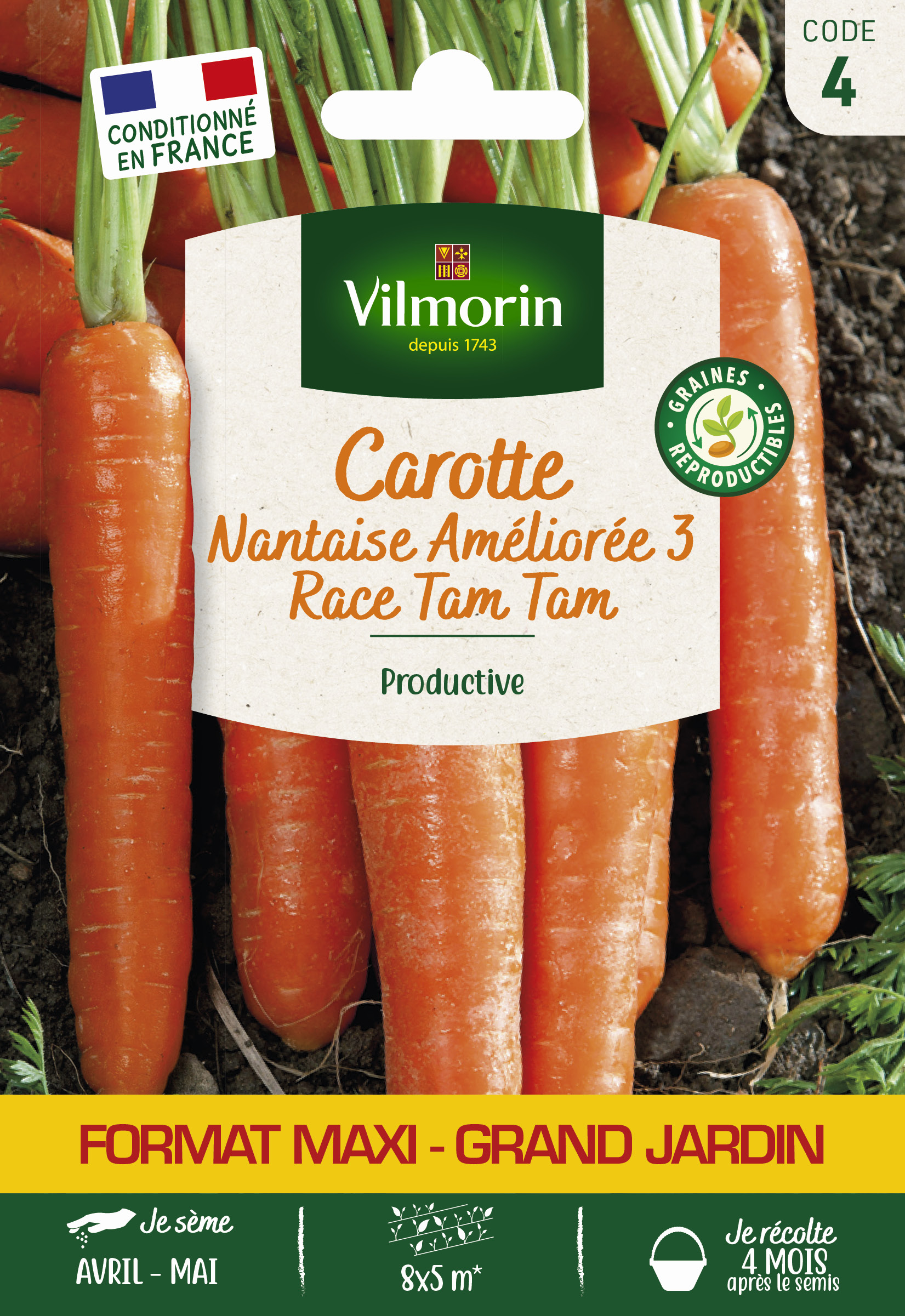 Carotte Nantaise Améliorée 3 race Tam Tam - Grand Modèle