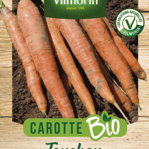 Carotte Touchon - BIO
