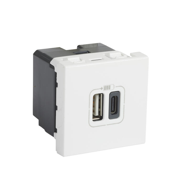 Chargeur USB MOSAIC 2 modules 230 V blanc LEGRAND 077592