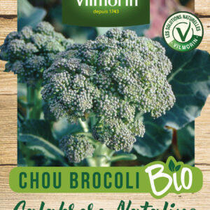 Chou Brocoli Calabrese Natalino - BIO