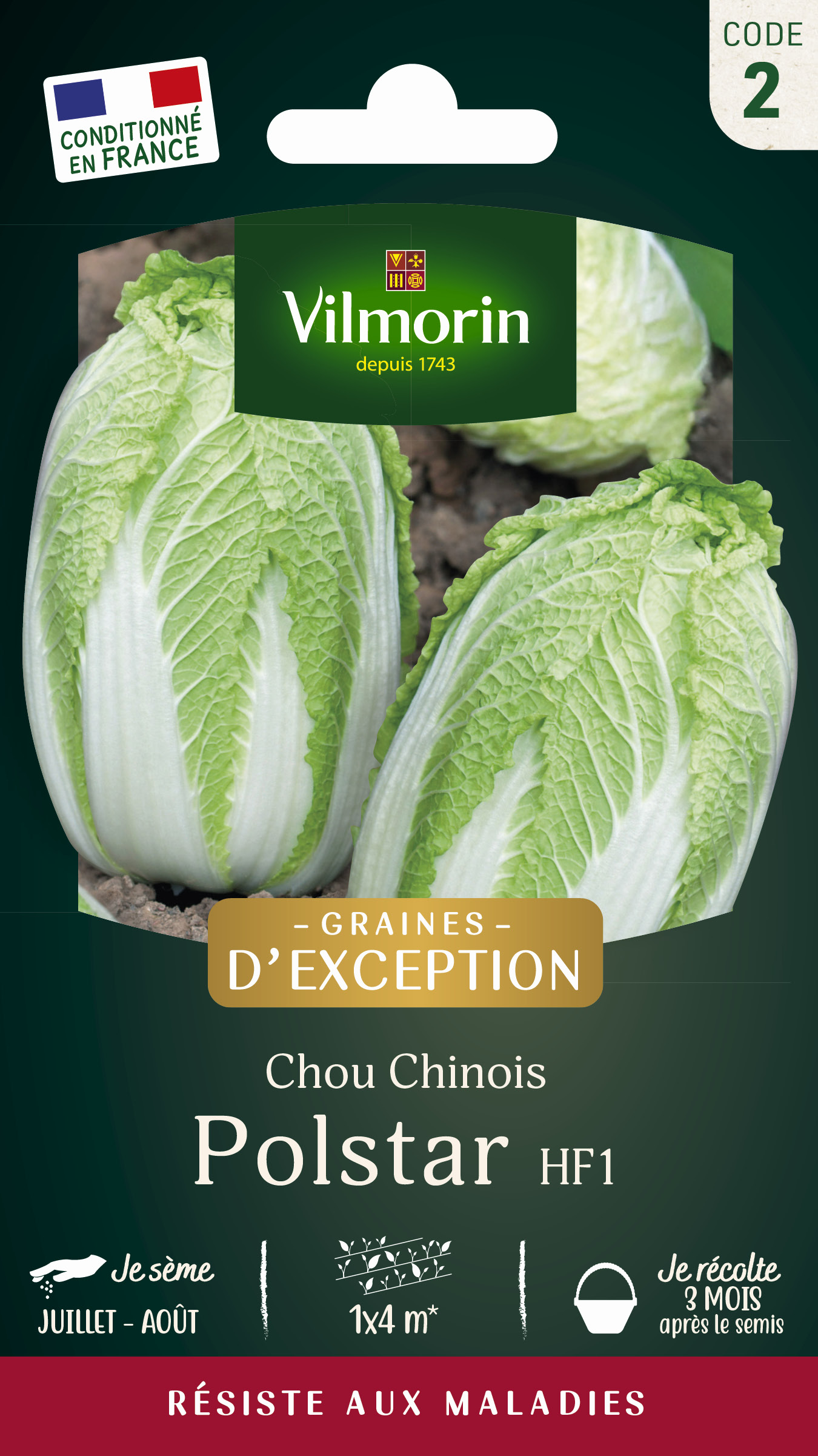 Chou Chinois Polstar HF1 - Graines d'Exception