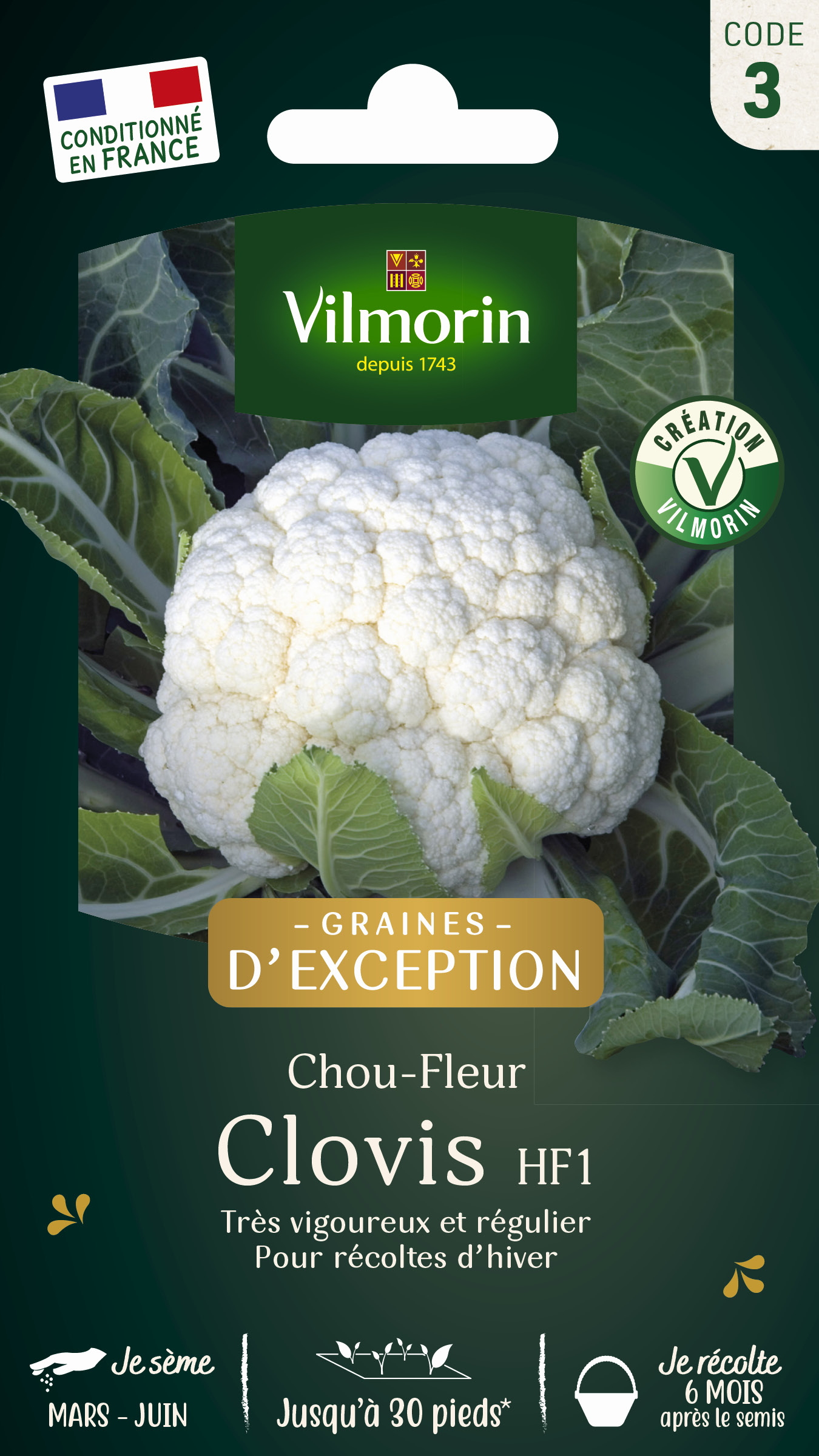 Chou-fleur Clovis F1 - Graines d'Exception