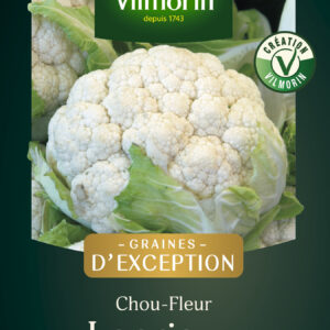 Chou-Fleur Locris HF1 - Graines d'Exception