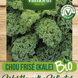 Chou Frisé (Kale) Westlandse Winter - BIO