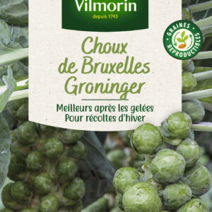Choux de Bruxelles Groninger