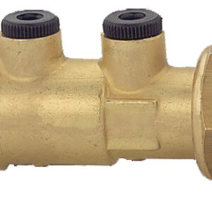 Clapet anti-pollution Mâle Femelle 1''1/2 WATTS 24116