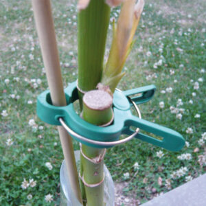 Clip Épingle pour Arbre et Tuteur (x6)