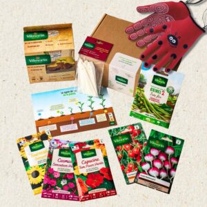 Coffret des petits jardiniers + Gants enfant 3-4 ans