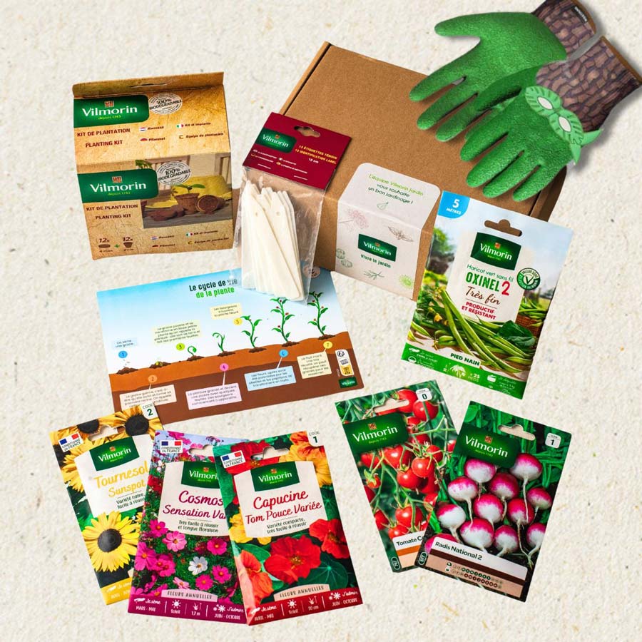 Coffret des petits jardiniers + Gants enfant 6-8 ans - Loupe intégrée