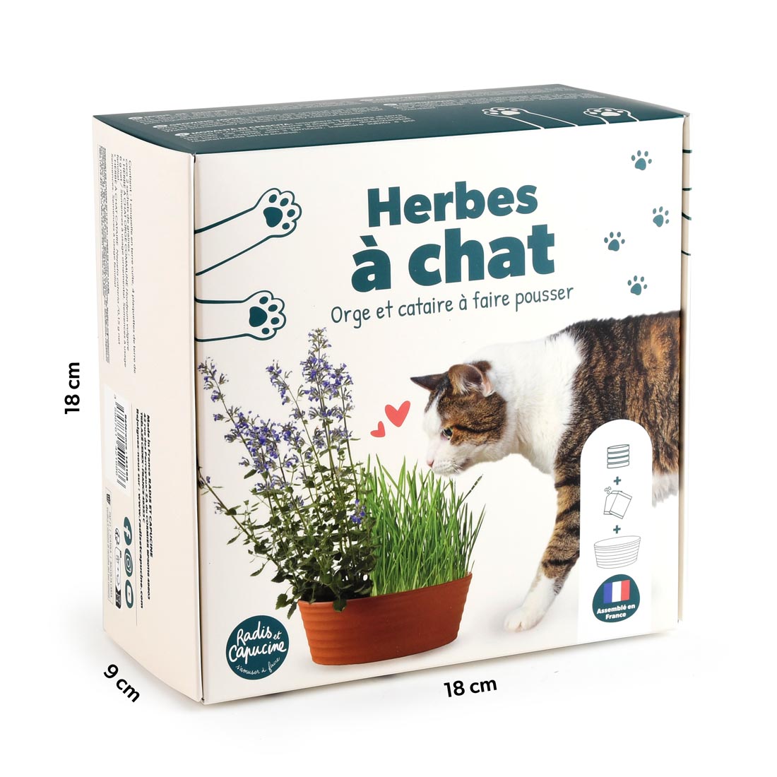 Coffret Herbe à Chat