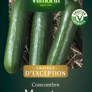 Concombre Murat HF1 - Graines d'Exception