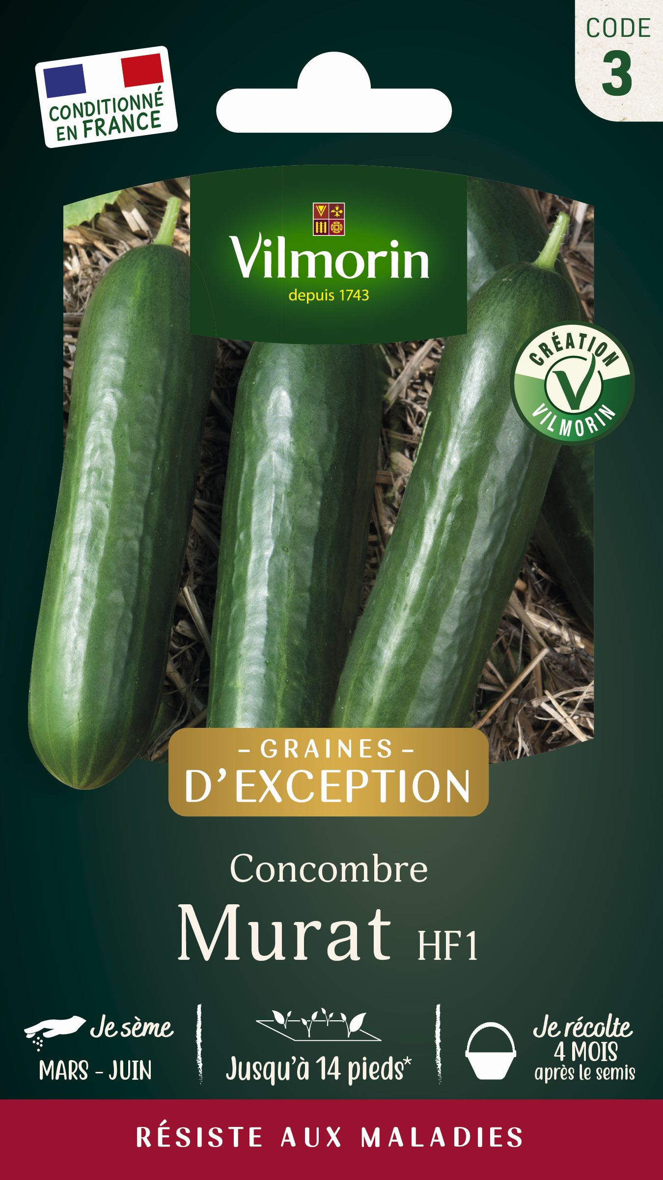 Concombre Murat HF1 - Graines d'Exception