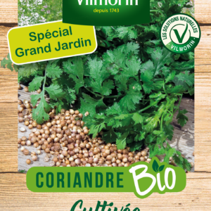 Coriandre Cultivée - BIO - Grand Modèle