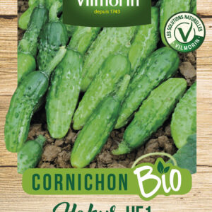 Cornichon Hokus HF1 - BIO