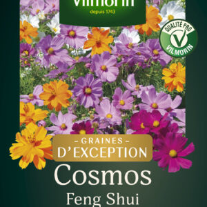 Cosmos Feng Shui - Graines d'Exception