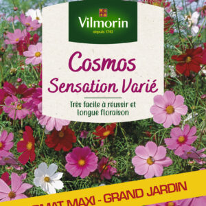 Cosmos Sensation Varié - Grand Modèle