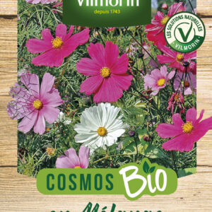 Cosmos Varié - BIO