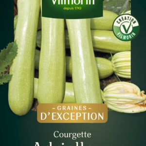 Courgette Adrielle HF1 - Graines d'Exception