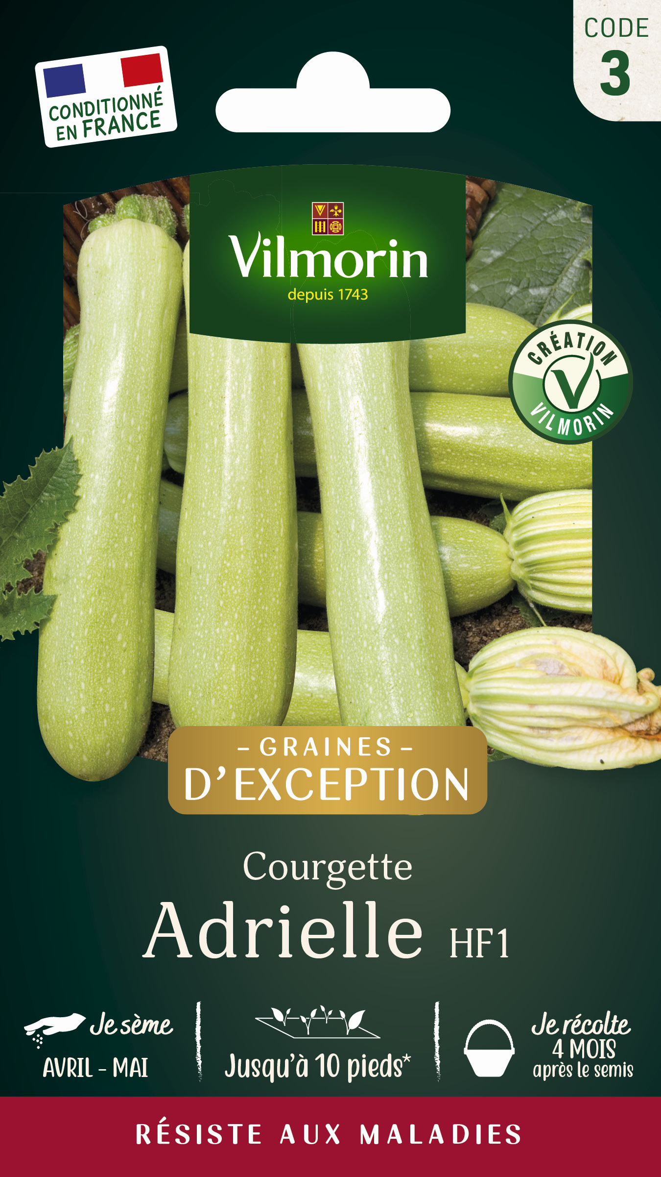 Courgette Adrielle HF1 - Graines d'Exception