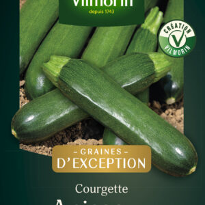 Courgette Anissa HF1 - Graines d'Exception